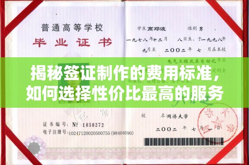 旅顺口揭秘签证制作的费用标准，如何选择性价比最高的服务？