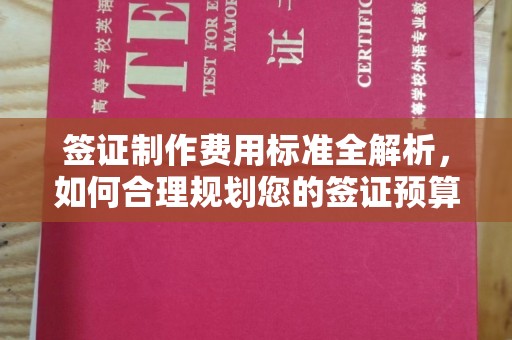 旅顺口签证制作费用标准全解析，如何合理规划您的签证预算？